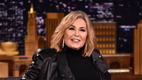 Roseanne barr new show. Things To Know About Roseanne barr new show. 